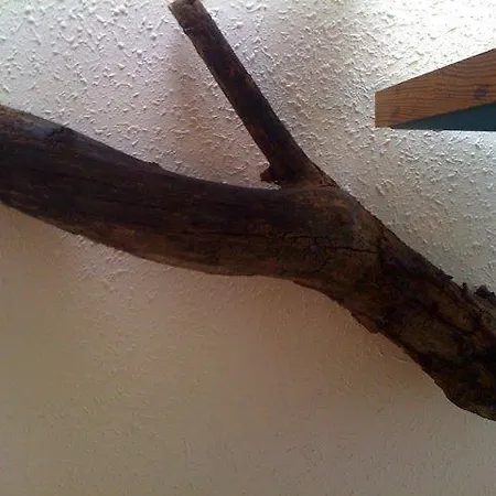 Mar Dor Apartament *
